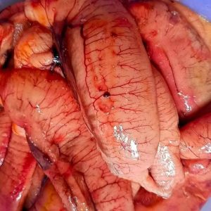 ১ কেজি ইলিশের ডিম